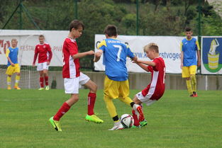 华体会官网入口-国足比赛期间战术板应用时机整理，足球战术板软件下载