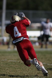 华体会登录地址-德甲球队视频分析辅助防守站位调整的实证研究，德甲身体对抗